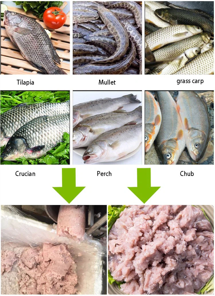 fish deboning machine 1